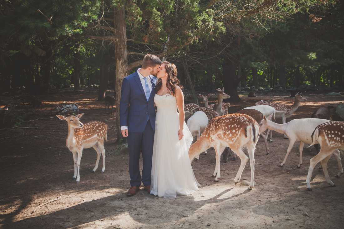 Newlyweds Wedding Deer Forest Valley DJ Service Southwicks Zoo Galliford's Restaurant
